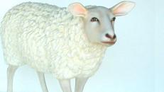 Schaf Figur, Schaf, Lamm, Figur, Tier, Weide, Schäfchen, Wolle, Hausschaf, Bauer, Bauernhof, Stall, Dekoration, Event