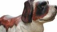 Bernhardiner Sennenhund Figur, Bernhardiner, Hund, Sennenhund, Figur, Tier, Haustier, Dekoration, Party, Event, Messe