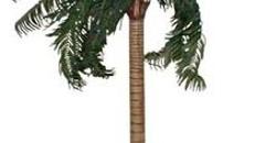 Palmen, Palme, Strand, Beach, Küste, Dekoration, Baum, Palmengewächse, Attrappen, Meer, Karibik, Event, Messe
