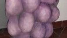 Trauben Dolden, Trauben, Weintraube, Weinbau, Weinberg, Traubenlese, Dekoration, Obst, Frucht, Event, Messe