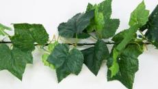 Künstliche Wein- und Efeuranken, Wein, Weinranken, Efeuranken, Efeu, Ranken, Ranke, Laub, Blätter, Weinblätter
