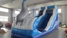 Wasserrutsche Seelöwe