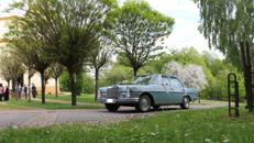 Hochzeitsauto, Oldtimer Mercedes S-Klasse