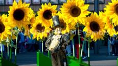 Sonnenblumen XL - Riesenblumen Sommer WUNDERRÄUME GmbH vermietet: Dekoration / Kulisse für Event, Messe, Veranstaltung, Incentive, Mitarbeiterfest, Firmenjubiläum