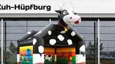 Hüpfburg- Kuh - Kuhhüpfburg