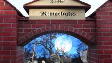 Halloween Friedhof