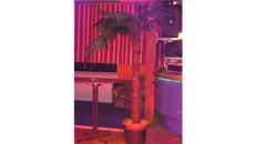 Kunstpflanze Palme 3,0m