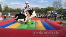 Bullriding / Rodeo/ Bulle reiten inkl. Personal und Haftpflichtversicherung