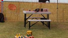 Skulpturen bauen aus Naturmaterialien / Basteln für Kinder / Kinderattraktion / Kinderevent / / inkl. Betreuer für bis zu 6 Stunden / inkl. Auf- und Abbau