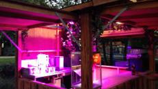Barlöffel / Löffel / Bar / Tresenlöffel / Party / Gastronomie