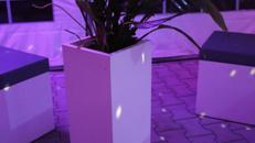 Lounge - Blumensäule mit Blumen / Blumensäule / Blumen / Dekoration