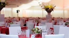 Eventdekoration und -ausstattung
