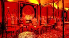 Designsessel (Set)