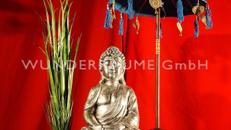 Arrangement Asien 3