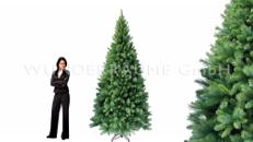 Nadelbaum XL