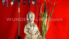 Arrangement Asien 4