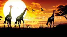 Leinwanddruck "Giraffen" - WUNDERRÄUME GmbH vermietet: Dekoration/Kulisse für Event, Messe, Veranstaltung, Incentive, Mitarbeiterfest, Firmenjubiläum