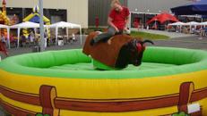 Bullriding / Rodeo / Bullenreiten / Multiride