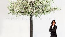 Kirschblüten-Baum M, weiß - WUNDERRÄUME GmbH vermietet: Dekoration/Kulisse für Event, Messe, Veranstaltung, Incentive, Mitarbeiterfest, Firmenjubiläum