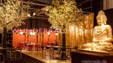 Kirschblüten-Baum L, weiß - WUNDERRÄUME GmbH vermietet: Dekoration/Kulisse für Event, Messe, Veranstaltung, Incentive, Mitarbeiterfest, Firmenjubiläum