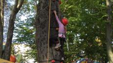 Kletterparkour an Eurem Baum