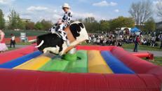 Bullriding / Rodeo günstig für Ihre Veranstaltung mieten