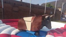 American Bullriding / Rodeo