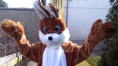 Osterhase, Hund, Krokodil, Shaun das Schlaf Schaf, Weihnachtsmann, Nikolaus, Engel, Mini Mouse, PA, Moderation, Hüpfburg, Glücksrad, Torwand, Luftballonfiguren, Ballonclown