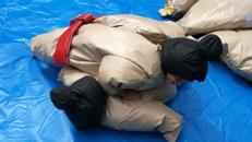 Sumo Anzüge, Gladiatoren Kampf