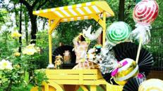 CANDY - Wagen / Rustikaler Verkaufswagen / Bauernwagen