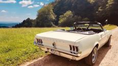 Mustang Cabrio Bj. 1967, Hochzeitsauto, Chauffeur/-in