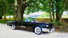 Ford Thunderbird Cabrio Bj. 59, Hochzeitsauto, Chauffeur/-in, Oldtimer