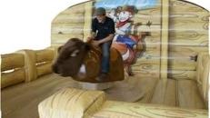 Bullriding Rodeo Stier inkl. 4 Stunden Aktionszeit und Transport in ganz NRW