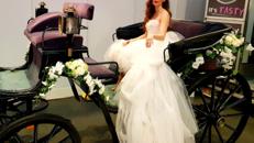 Hochzeitskutsche mit edlen Friesenpferden, Hochzeitsgeschenk, Hochzeitsfeier, Hochzeitslocation, Oldtimer, Brautauto, Braut, Hochzeitsfeier, Geschenk, Gutschein, Geburtstag,Überras