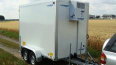 Kühlanhänger 2700 kg 2938 x 1546 x 2000 mm bis plus 2°C / 100 km/h