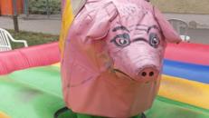 Lustiges Schweinereiten wie Bullriding /Rodeo