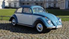Vw Käfer "Ovali" - Bj. 1957