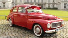 Volvo PV 544 "Buckel" - Bj. 1959