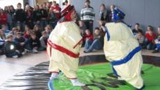 INKL.VERSAND Sumoringen, Sumowrestling in Erwachsenen und Kindergröße inkl.Versand,Rückholung und 19% MwSt.
