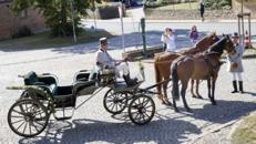 Trationnelle Hochzeitskutsche mieten, wir fahren mit Ihren Pferden vor Ort