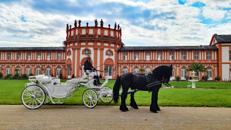 Premium Hochzeitskutsche gezogen von edlen Friesenpferden