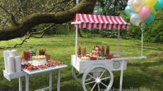 CandyBar für Hochzeiten/inklusive Ausstattung