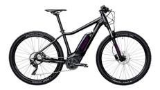E-Bike Pedelec MTB Unisex Lady Youth Elektro Akku Fahrrad EBike