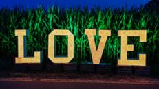XXL Buchstaben "LOVE" 120 cm