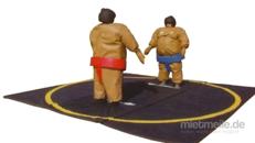 Sumo Wrestling