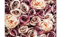 Blumenwand mieten