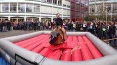 Bullriding inkl. Auf-/Abbau und Personal