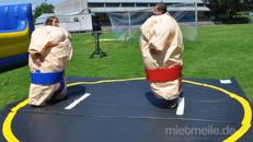 Sumo Wrestling / Sumo Ringen / Sumo Fatsuit