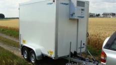 Partyhengst (doppelachser) Kühlanhänger 2700 kg doppelachser bis plus 2°C Kühlung 100 km/h