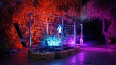 Klettern im Geisterwald– Co2 neutral - mobiler Kinderhochseilgarten